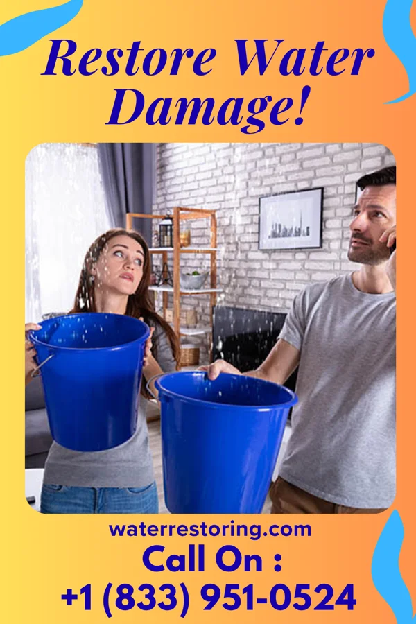 water restoration National Disaster Cleanup Contractors Layhill