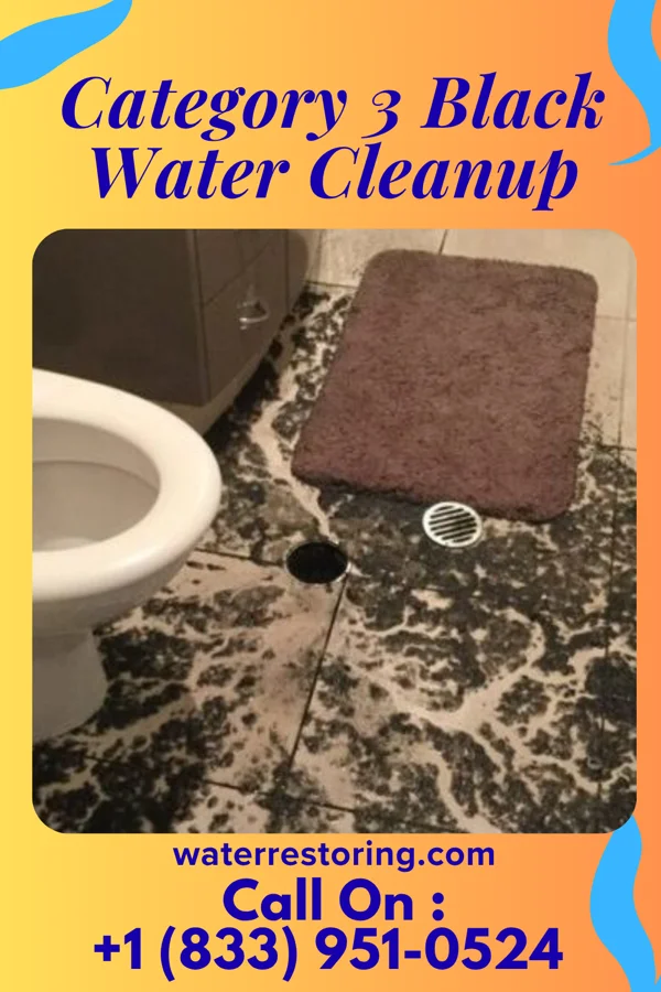 Category 3 Black Water Cleanup in Layhill, MD