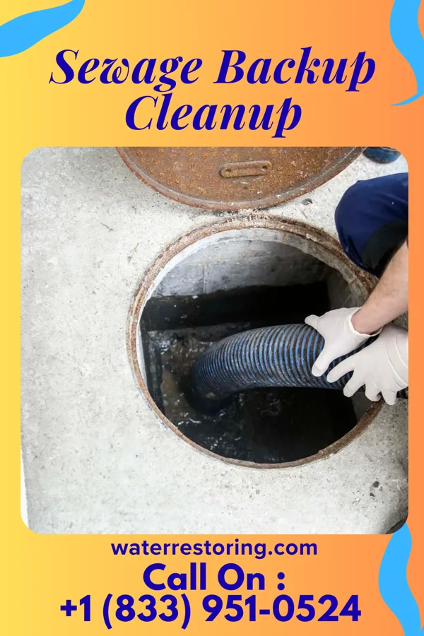 Sewage Backup Cleanup in Layhill, MD